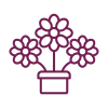 Icône fleurs et occasions spéciales